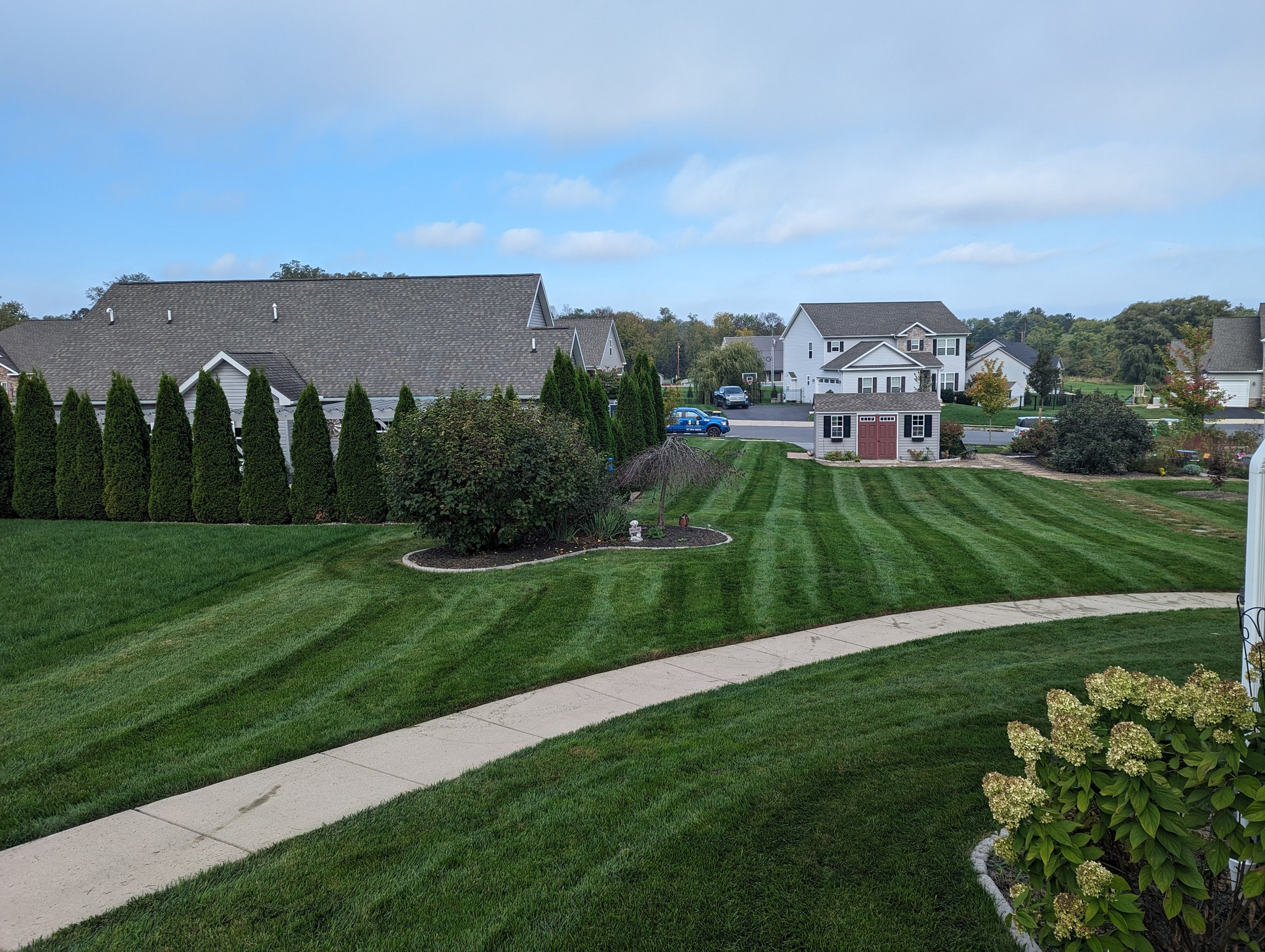 lawn 3