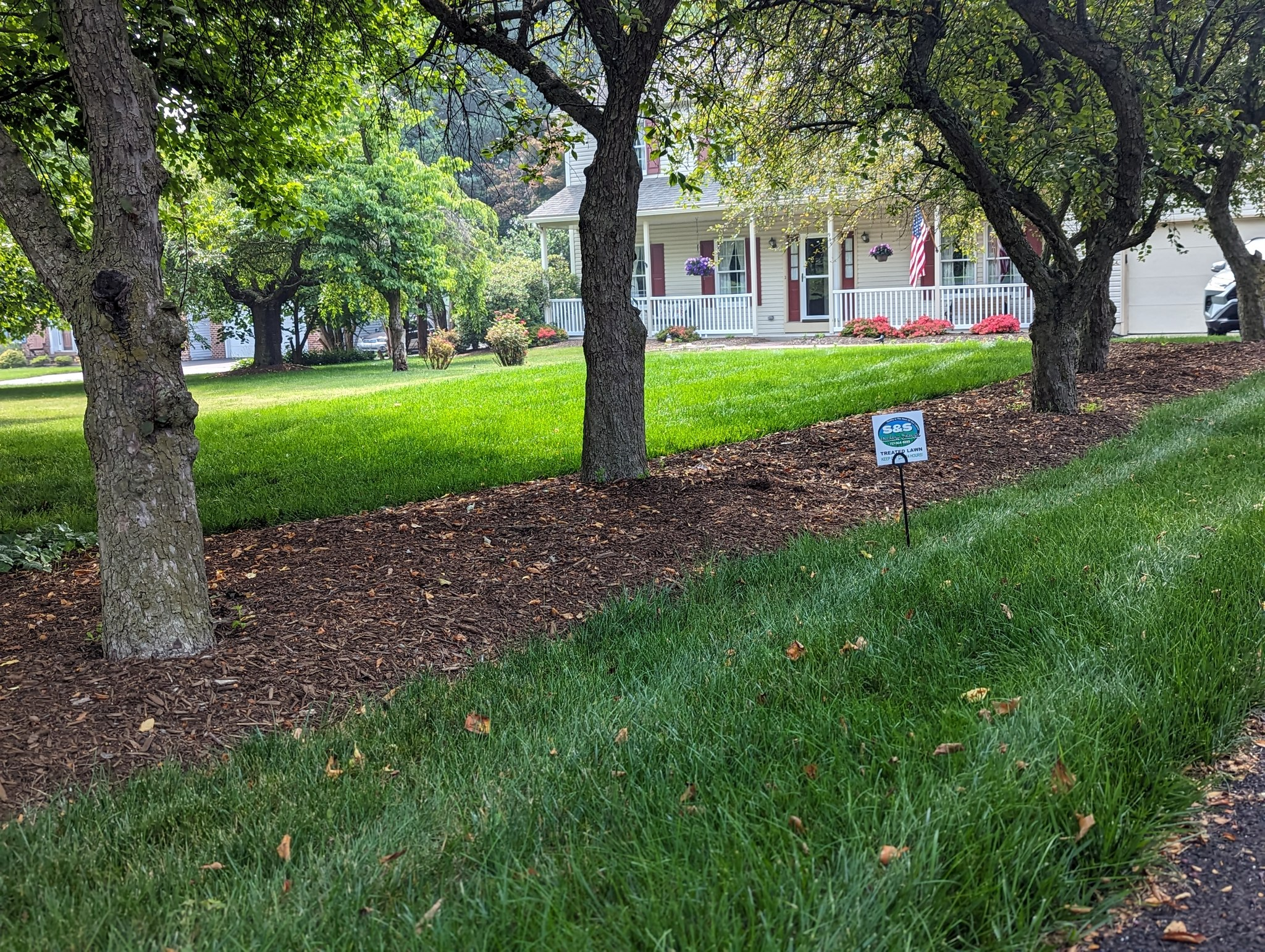lawn 5